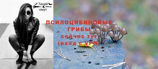 мескалин Краснослободск