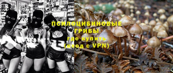 ГАЛЛЮЦИНОГЕННЫЕ ГРИБЫ Краснотурьинск