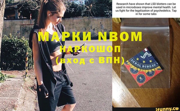 ГАЛЛЮЦИНОГЕННЫЕ ГРИБЫ Краснотурьинск