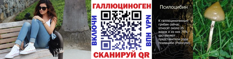 Галлюциногенные грибы мицелий  что такое наркотик  Новошахтинск 
